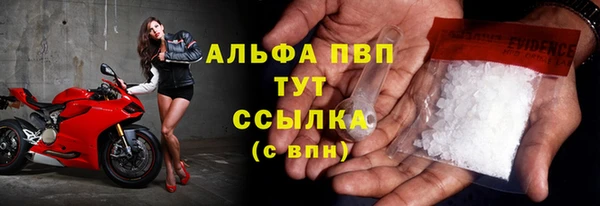 сатива Бикин