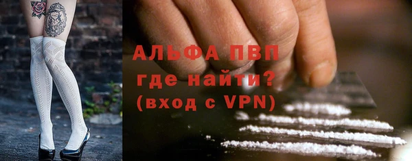 ECSTASY Лагань