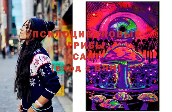 ECSTASY Лагань